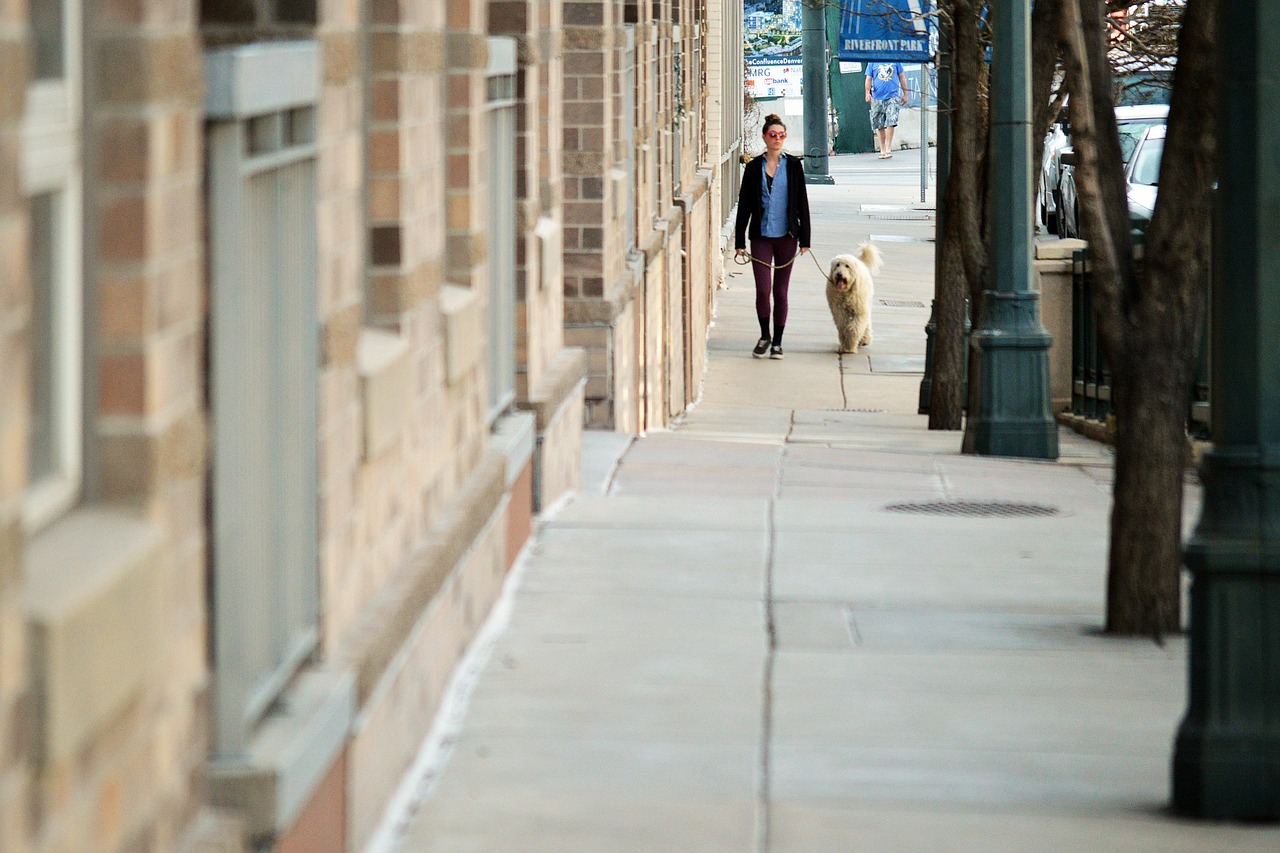 Hundespaziergang in der Stadt